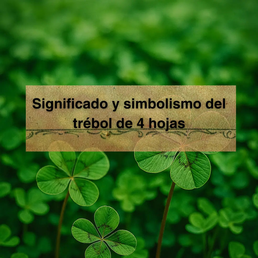 Significado y simbolismo del trébol de 4 hojas